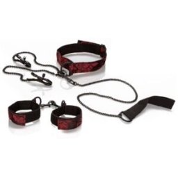 CalExotics Scandal Submissive Kit