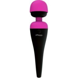 Palmpower Personal Massager