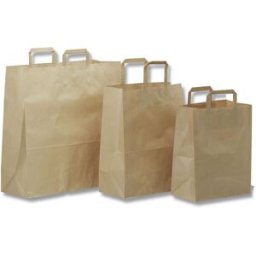 NORDISKT PAPPER Bärkasse papper 16L brun 200/fp