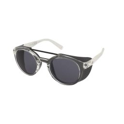 Sunglasses Alpina Glace Transparent Gloss/Black