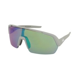 Sunglasses Alpina Turbo HR Smoke Grey Matt