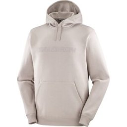 Salomon Men's Big Logo Etherea M