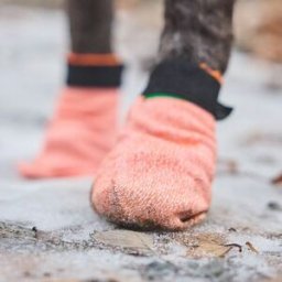 Non-Stop Dogwear Protector Light Hundsocka 4 St S
