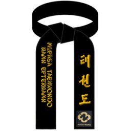 Budofitness Bältesbrodyr Mufasa Taekwondo Höganäs