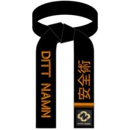 Budofitness Bältesbrodyr Anzen Jutsu