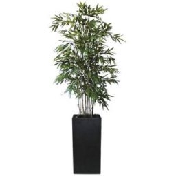 Terasso CubicBambu, 1800 mm i Terasso cubik
