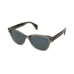 Sunglasses Ray-Ban RB0880S 66353R