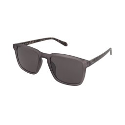 Sunglasses Fossil FOS 3157/S FRE/IR