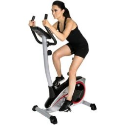 Christopeit Sport Treningssykkel AL1 (Silver)