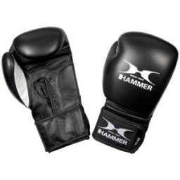 Hammer Boksehansker Premium FITNESS (8 OZ)