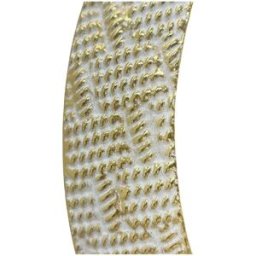 Väggspegel Home ESPRIT Vit Gyllene Orientalisk 73 x 7 x 73 cm