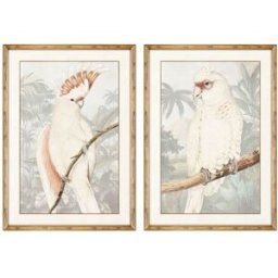 Tavla DKD Home Decor Papegoja Tropiskt 50 x 3 x 70 cm (2 antal)