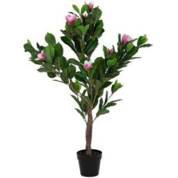 Dekorativ växt DKD Home Decor Rosa Grön PE (60 x 60 x 125 cm)