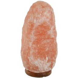 Bordslampa Home ESPRIT Rosa Salt Mangoträ 15 W 220 V 17 x 14 x 35 cm