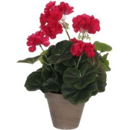 Dekorativ växt Mica Decorations 11,5 x 33 cm Rosa PVC