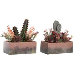 Dekorativ växt DKD Home Decor 19 x 9 x 22 cm Rosa Orange Kaktus Eva-gummi polypropen (2 antal)