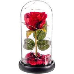 Prydnadsfigur Caison Rosa roja eterna leds cupula cristal 20 cm