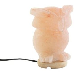 Bordslampa DKD Home Decor Rosa Salt Akaciaträ 15 W 220 V 14 x 14 x 18 cm