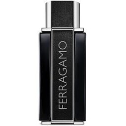 Salvatore Ferragamo Sublime Leather Eau De Parfum 100 Ml