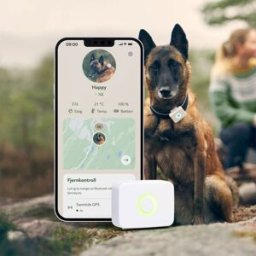 Lildog Gps-Tracker Till Hund