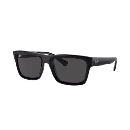Sunglasses Ray-Ban Warren RB4396 667787