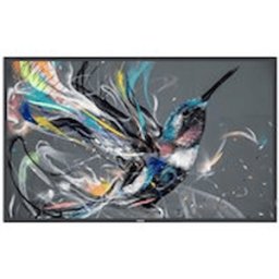Philips 86BDL3511Q - 86" Diagonal klass (85.6" visbar) - Q-Line