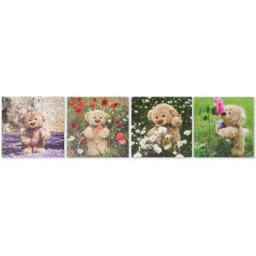 Tavla DKD Home Decor S3018130 Björn Barn (28 x 1,5 x 28 cm) (4 antal)