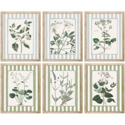 Tavla Home ESPRIT Glas Gran 30 x 2,5 x 40 cm (6 antal)