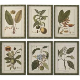Tavla Home ESPRIT Glas Gran 30 x 2,5 x 40 cm (6 antal)