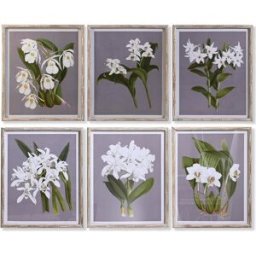 Tavla DKD Home Decor Glas Gran 50 x 60 x 2,8 cm 50 x 2,8 x 60 cm
