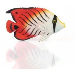 Magnet fisk eld kejsare