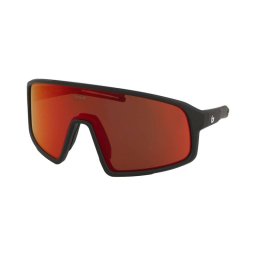 Solglasögon Bollé Striver BS165004