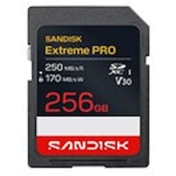SanDisk Extreme PRO - Flash-minneskort - 256 GB - Video Class
