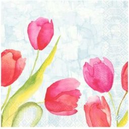 Servett Tulips 3-lags 40x40cm 250/fp