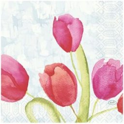 Servett Tulips 3-lags 33x33cm 50/fp