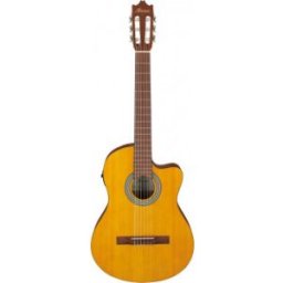 Ibanez Ga3ece-Oam Gitarr Med Mikrofon