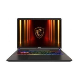 MSI Vector A16 16" Hx Gaming Laptop, Windows 11 Home (A8whg-069neu)