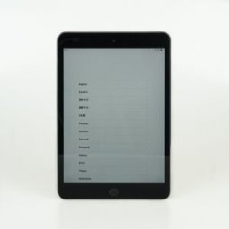 Apple iPad Mini 5 64GB Retina IPS 4G Cellular Space Gray (5th Gen 2019) Som ny