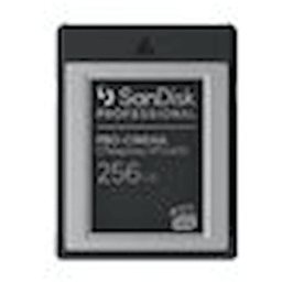 SanDisk Professional - Flash-minneskort - 256 GB - CFexpress,