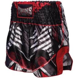 Budofitness Twins Thaishorts “demon”