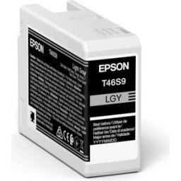 C13T46S900 Light grey Ink Cartridge