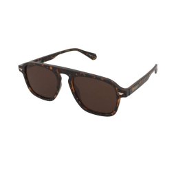 Solglasögon Superdry SDS 5049 102