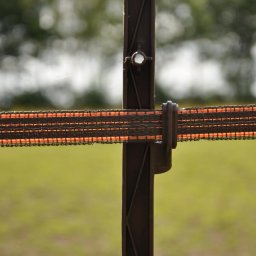 Häststolpe (terra, 5 St)