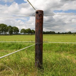 Equifence (vit, 250m)
