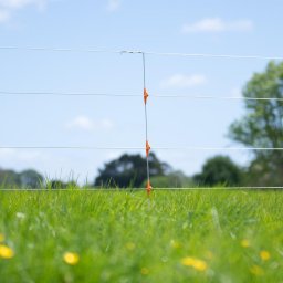 Gallagher Isolerad Mellan Line Post 0,95m (10)