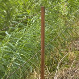 Insultimber (fsc®) Mellanstolpe (3,8 X 2,6cm - 1,26 Mätare)