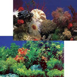 PENN PLAX Pozadie obojstr. 50cm/15m AmazonWaters/Coral
