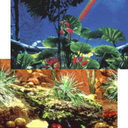 PENN PLAX Pozadie obojstr. 50cm/15m REPTILE Cactus Gard