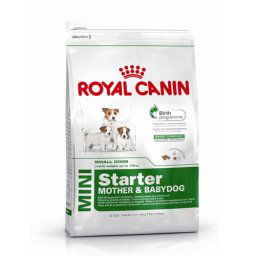 ROYAL CANIN MINI STARTER M&B 1kg