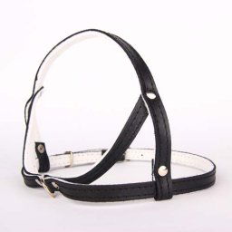 COBBYS PET postroj leather-felt 14mm/70cm